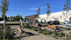 Podél supermarketu byla vysázená stromová alej