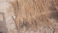 Výroba stínění z bambusu.