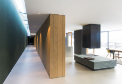 Vila P, Bergmeisterwolf