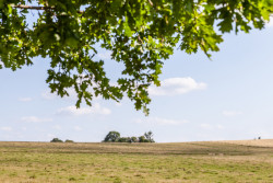 Útulna Milínov od Jana Tyrpekla