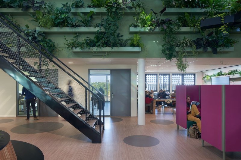 Vysoká školy aplikovaných věd Aeres v Almere, BDG Architecten: Přírodní podlaha Marmoleum svým charakterem i barevností zapadá do konceptu „zelené budovy“