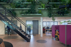 Vysoká školy aplikovaných věd Aeres v Almere, BDG Architecten: Přírodní podlaha Marmoleum svým charakterem i barevností zapadá do konceptu „zelené budovy“