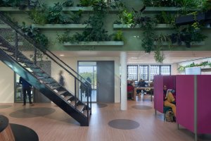 Vysoká školy aplikovaných věd Aeres v Almere, BDG Architecten: Přírodní podlaha Marmoleum svým charakterem i barevností zapadá do konceptu „zelené budovy“
