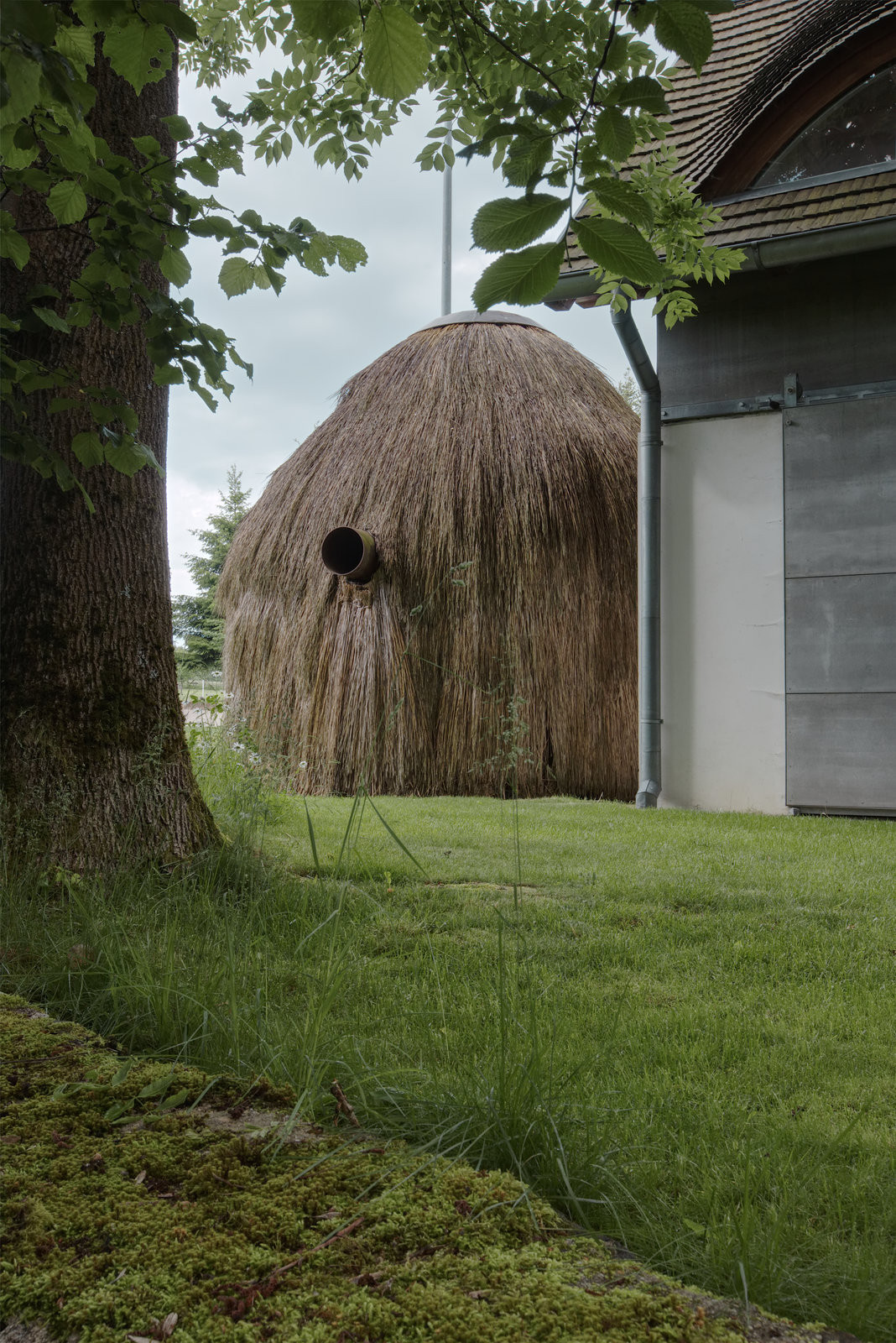 a1architects, Sauna Kupka v Alenině Lhotě, 2019–2020