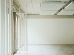 Sprössling, Marazzi Reinhardt