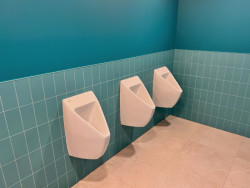 Bezvodé pisoáry pomáhají minimalizovat možný výskytu a přenos patogenů.