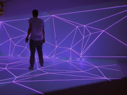 Roelof Knol - Proudy