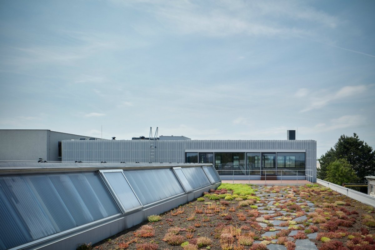 Výrobní a administrativní objekt firmy Pilana Karbid v Hulíně, Ellement architects