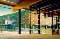 Säschsisches Staatsweingut Schloss Wackerbarth, Německo – foto