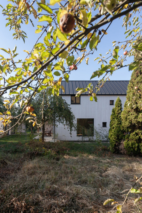 Dům před dvůr, DDAANN