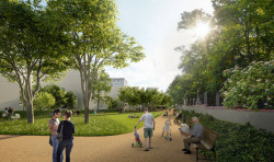 Olšanskou ulici zaplní stromořadí a přibyde cyklostezka s parkem