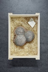 henkai architekti, Svět kamenů / World of Stones - foto