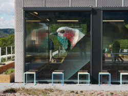 Nové sídlo KOMA MODULAR v pavilonu z EXPO 2015 získalo cenu Nejatraktivnější pracovní prostředí v soutěži Zasedačka roku.