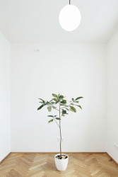 henkai architekti, byt pana doktora v Opavě - foto