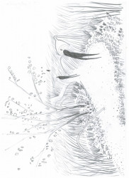 Koncept projektu, element země, skica Jana Trpkoše