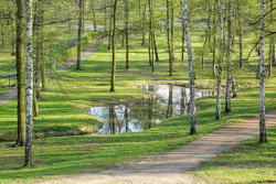 Lochotínský park