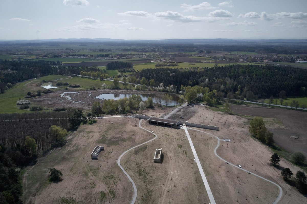 Areál tábora - s volně rostoucím lesem kontrastuje rastr dřezovců.