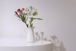 edit!, Papírnictví Plojhar – foto