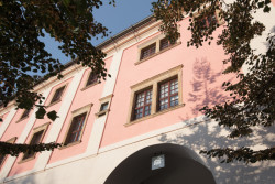 Café KONVIKT, Denisa Strmiskova Studio