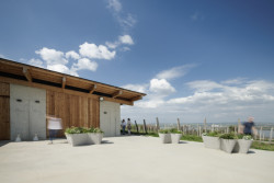 Minimalistické květináče TYPO vyrábí mmcité pomocí 3D tisku jako jedna z prvních firem v České republice