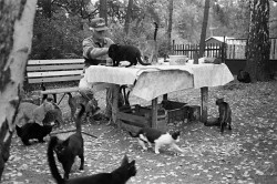 Tým z FA ČVUT vrátí chatu Bohumila Hrabala do podoby, ve které ji využíval. Dům bude zároveň dokladem fenoménu chataření v Československu