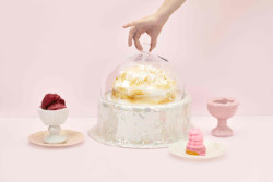 Od 26. do 28. května 2023 bude jihomoravský Mikulov hostit festival Křehký Mikulov. Na programu je designová přehlídka, tvůrčí workshopy i tradiční opékání buřtů