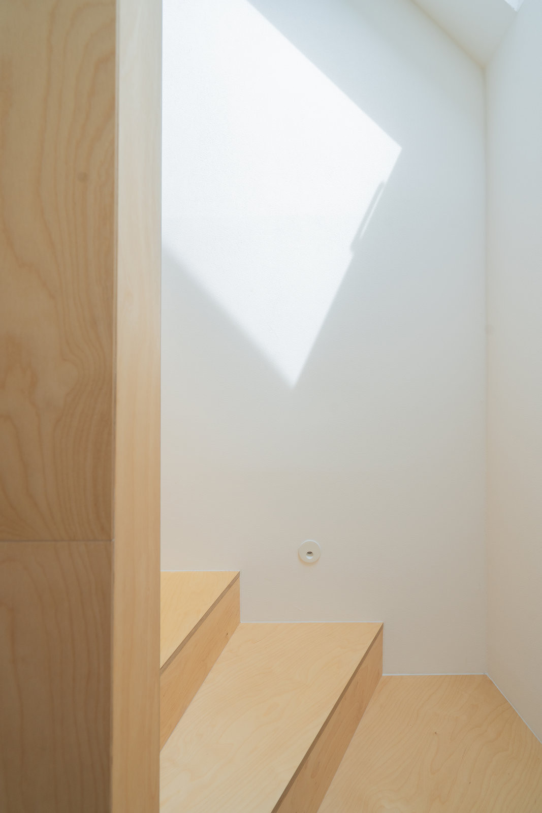 Schodiště (Dům mezi stromy; Studio COSMO)