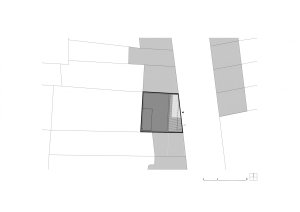 Rodinný dům Košinova v Brně, Mimosa architekti, situace