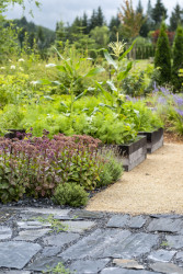 V těsné blízkosti domu vznikl prostor pro vyvýšené záhony. (Zahrada rodinného domu u vodní nádrže Kamýk, Atelier Flera)