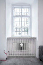 Mjölk architekti, Bookstore Artmap – foto