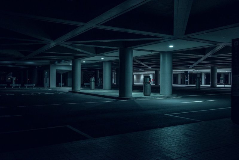 nihon noir