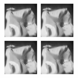 Hranice, Kristina Roman.