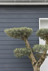 Vláknocementové desky Cembrit Plank