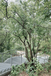 Ateliéry archigrest a topoScape proměnily skládku ve Varšavě na park.