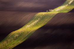 Dechberoucí krajina v okolí obce Šardice ji zařadila mezi 50 nejkrásnějších míst na Zemi dle časopisu Condé Nast Traveller