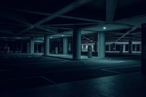 Nihon Noir