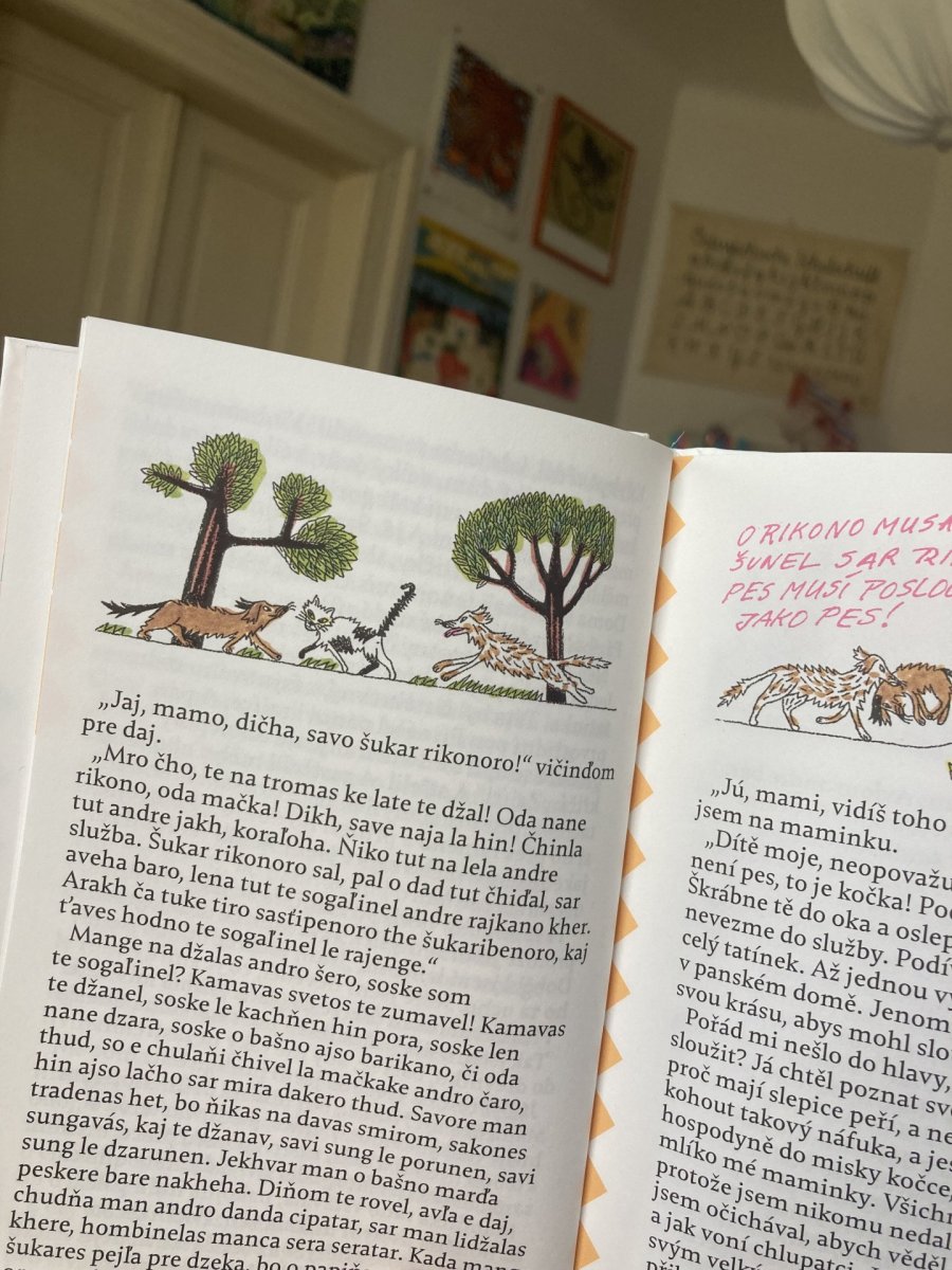 Magdalena Rutová / ilustrace knih Čavargoš / Tulák (Tera Fabiánová, Milena Hübschmannová, KHER)