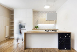 Byt pro Přemka, Ateliér 111 architekti,