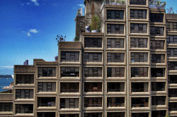 Sirius Building, Tao Gofers