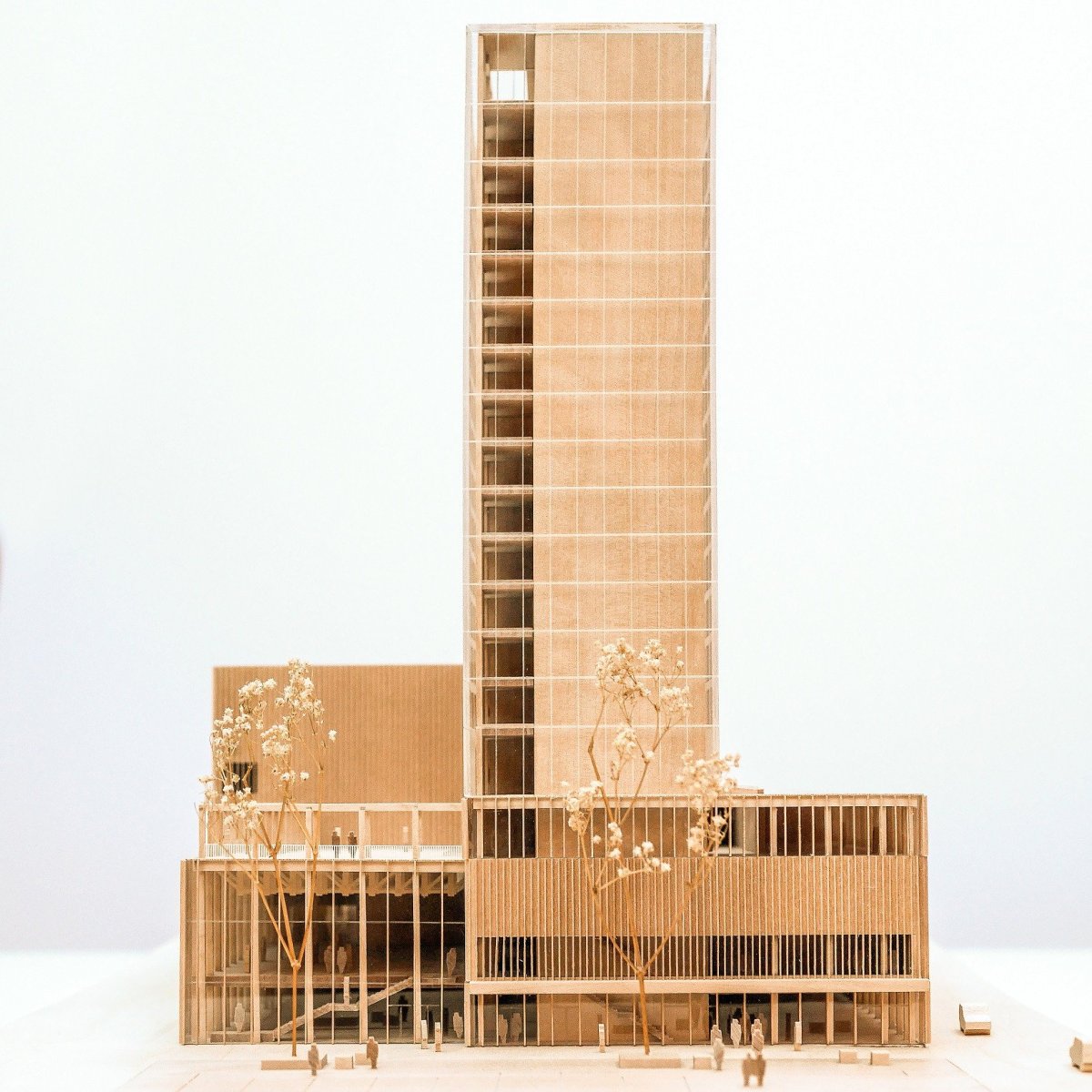 Model