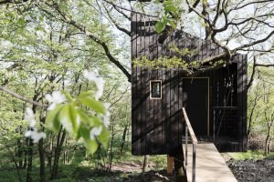 Tree-House DUBoDOM, ateliér StromDom