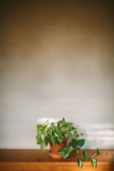 Omítky z hlíny jsou ekologické, difuzně otevřené, do jisté míry umí pracovat s vlhkostí a ozonem v interiéru.