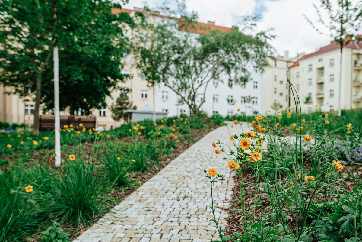 Nová vegetace (ateliér YYYY, park U Uranie)