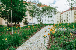 Nová vegetace (ateliér YYYY, park U Uranie)