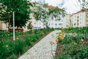 Nová vegetace (ateliér YYYY, park U Uranie)