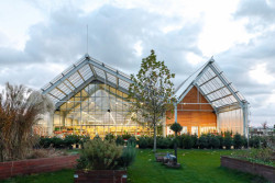 Zahradní část po dokončení 1. etapy