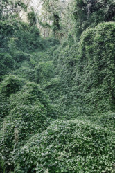 Ateliéry archigrest a topoScape proměnily skládku ve Varšavě na park.