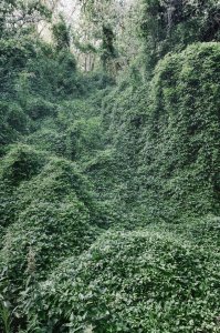 Ateliéry archigrest a topoScape proměnily skládku ve Varšavě na park.
