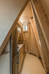 ŠÉPKA ARCHITEKTI, Dům v sadu – foto