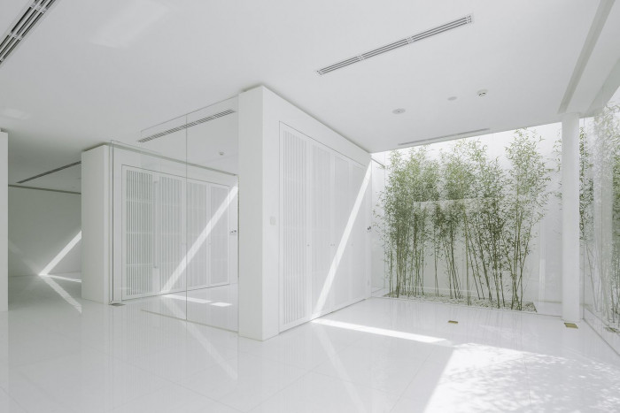 Bamboo Forest, V Studio
